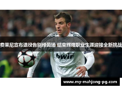费莱尼宣布退役告别绿茵场 结束辉煌职业生涯迎接全新挑战 费莱尼宣布退役告别绿茵场 结束辉煌职业生涯迎接全新挑战